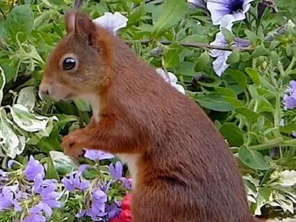 25 Short I AM Affirmations For Tough Days