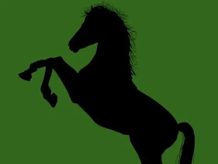 26 Black Beauty - Read By Stephanie Poppins