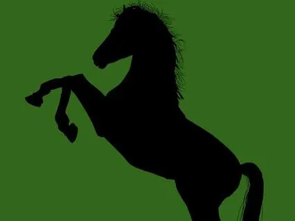 27 Black Beauty - Read By Stephanie Poppins