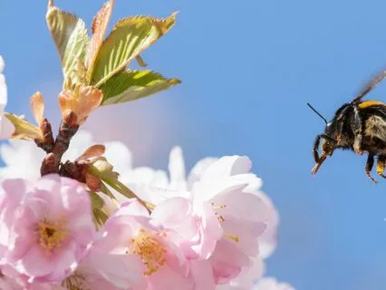 27 - Love Vibrations | Law Of Attraction Music Series