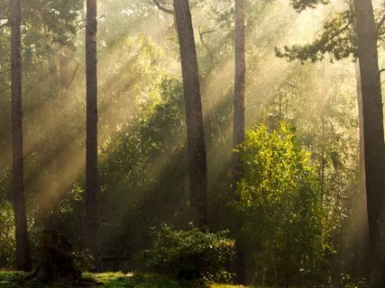 27 Minute Relaxation Music | Raising Your Joy Bar