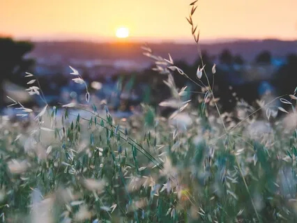 27 Minutes Cave Of The Siddhars Chants With Nandhiji