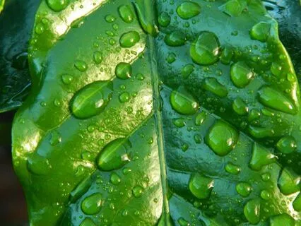 277 Hz Soothing Piano And Violin