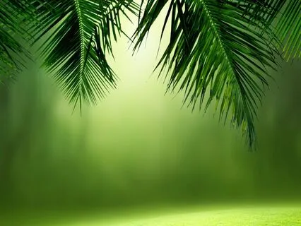 285 Hz Cellular Healing & Deep Restoration