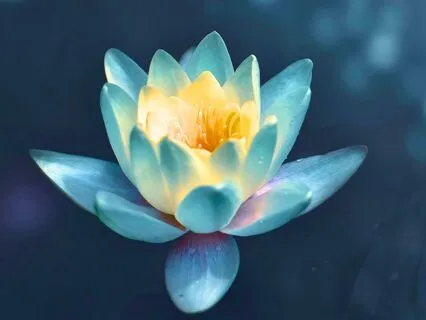 285 Hz - Healing Frequency | Regenerate And Heal The Body