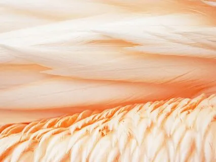 285 Hz Solfeggio Frequency Meditation For Healing Injuries