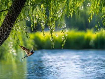 285Hz Nervous System Calm • Piano, Birds, & Flowing River