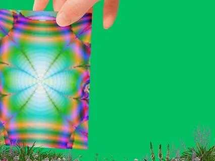 29. Impression: First Impressions Are Lasting