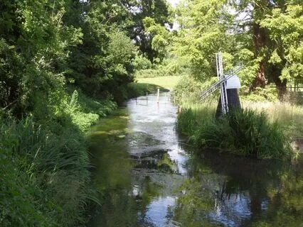 2mins Daily Energy Cleanse & Protect (Reiki Infused)