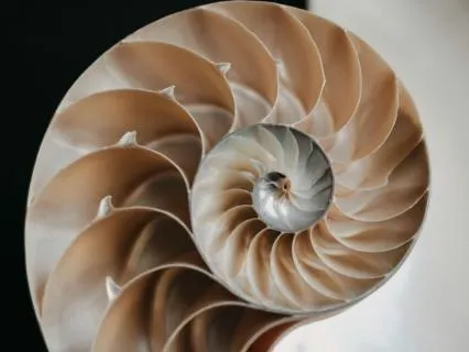 3-2-5 Breathing For Grounding And Calm