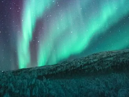 369 Frequency Therapy | Stop Self Sabotage | Brain Synchro