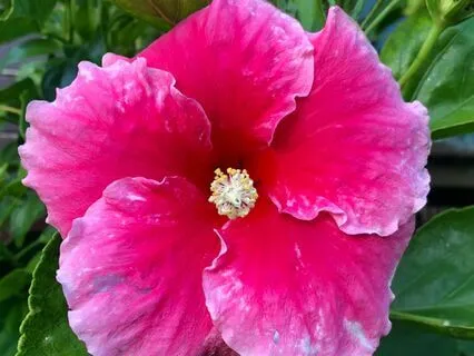 3 Adımda Nezaket Meditasyonu