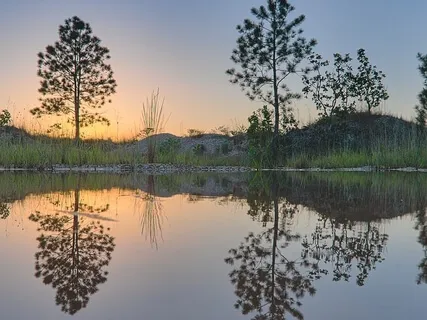 3.5 Concentration & Awareness - Body & Sounds (Longer) 