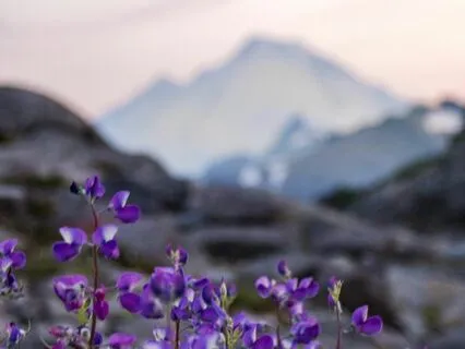 Visualization Meditation: Seeing Nature Mirrored Within You