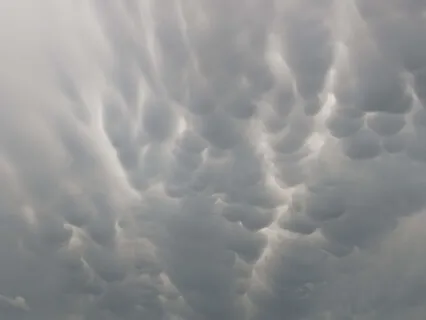 3. Guided Meditation: Presence And Boundless Compassion  