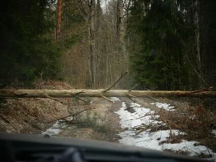 3 Hidden Blocks That Are Holding Back Your Manifestation