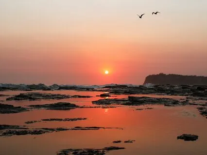 3 Holistic Health Considerations For Greater Vitality