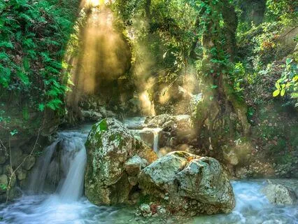 3 Hours Forest Rain With Delta Binaural Beats For Deep Sleep