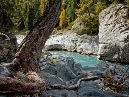 3 Hours Mountain Stream Serenity For Restful Sleep