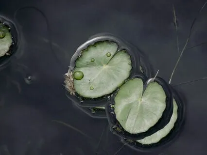 3 Hours Of Pure Delta Binaural Beats 8 Hz For Deep Sleep