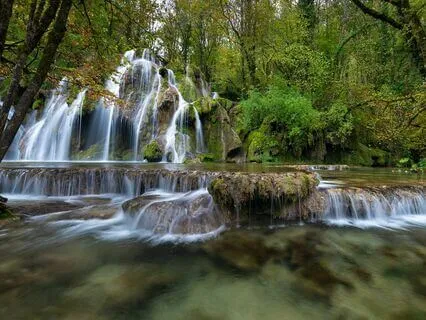3 Hours Soothing Forest Rain & Nature Sounds For Deep Sleep