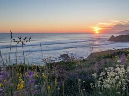 3 Hz Delta: Deep Sleep & Calm