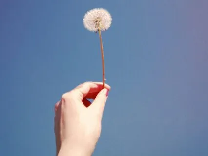 3 Limiting Beliefs To Eliminate For Effortless Manifesting