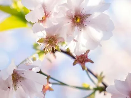 3 Min Energetic Protection Prayer