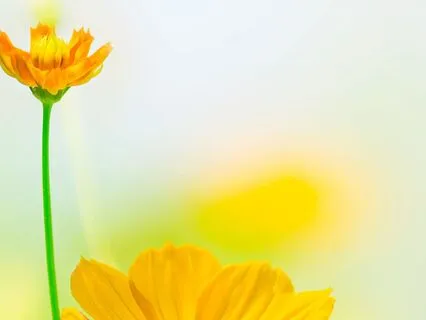 3-Min Morning: Live Your Values Today