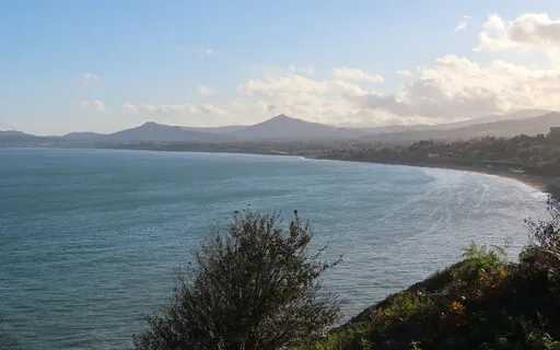 3 Minute 3 Step Anchor Space (MBSR)