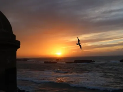 Body Awareness Meditation - Led By Jacob Aqua