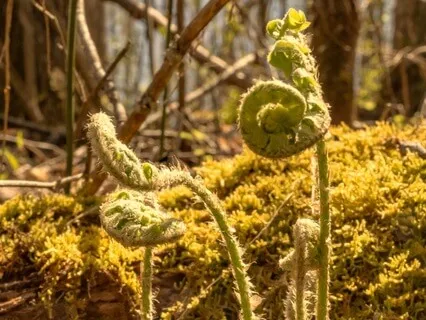3-Minute Body Unwind