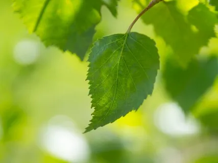 3 Minute Breath Exercise