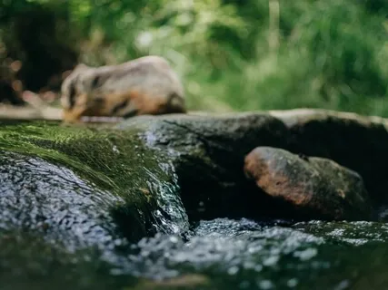 3-Minute Breath Recharge