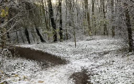 3 Minute Breathing Meditation