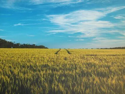 3-Minute Breathing Meditation For Stressful Moments