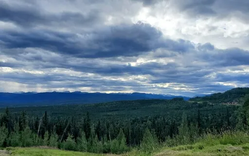 3 Minute Breathing Meditation