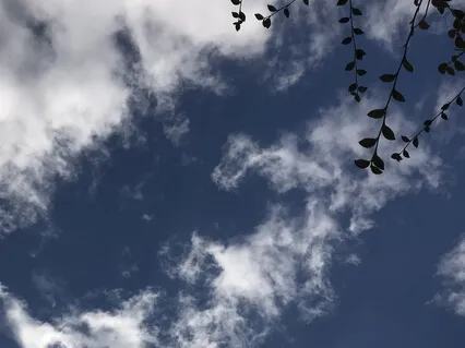 3 Minute Breathing Space