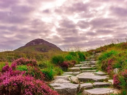 3 Minute Breathing Space