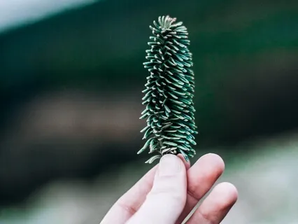 3 Minute Breathing Space