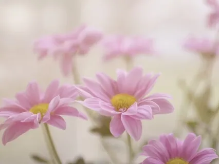 3 Minute Breathing Space