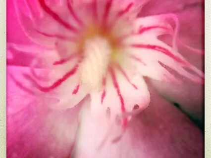 3-Minute Breathing Space