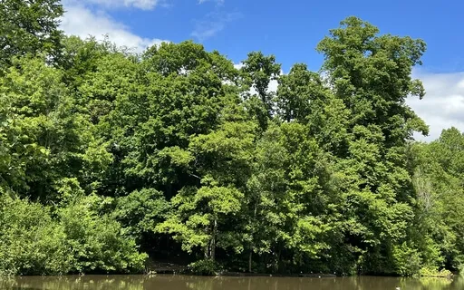 3 Minute Breathing Space 