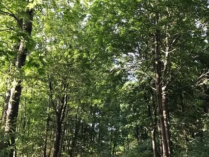 3-Minute Breathing Space