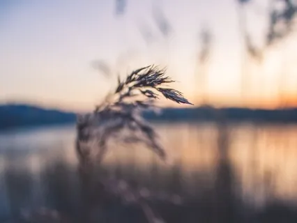 3 Minute Breathing Space