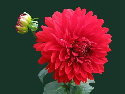 3 Minute Breathing Space