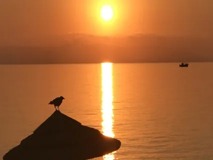 3 Minute Breathing Space Meditation 