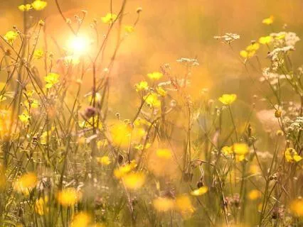 3-Minute Breathing Space: Take A Break