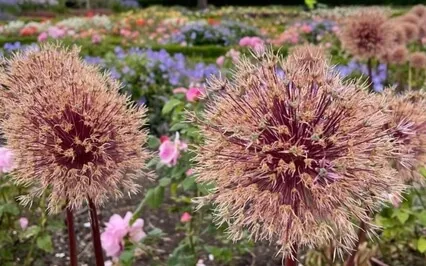 3 Minute Breathing Space (With Model Explanation)