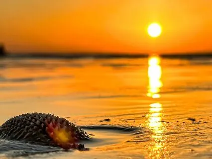 3 Minute Breathing Space